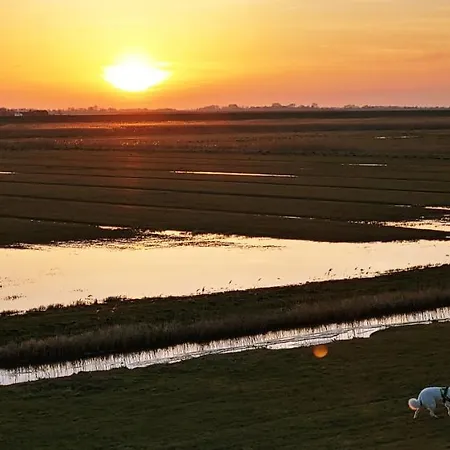 Suederdeich شقة *