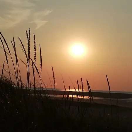 Suederdeich Lejlighed *