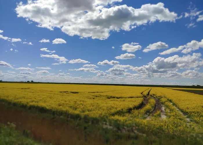 Suederdeich Koldenbuttel