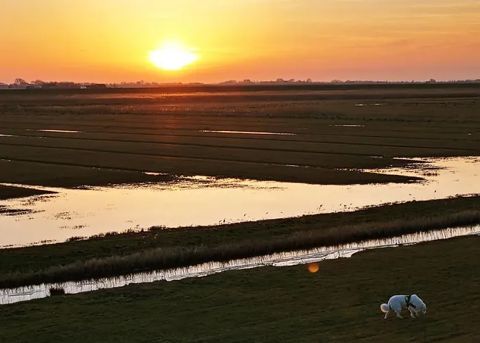 Suederdeich Appartamento *